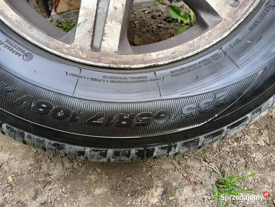 Opony małopolskie Szczucin