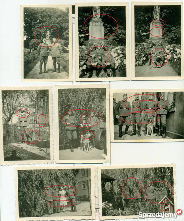 Stare zdjęcie żołnierz niemiecki grupowe 2 wojna wielkopolskie