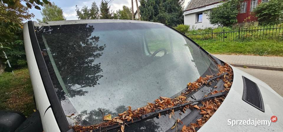 Syndyk sprzeda samochód ciężarowy Renault Trafic