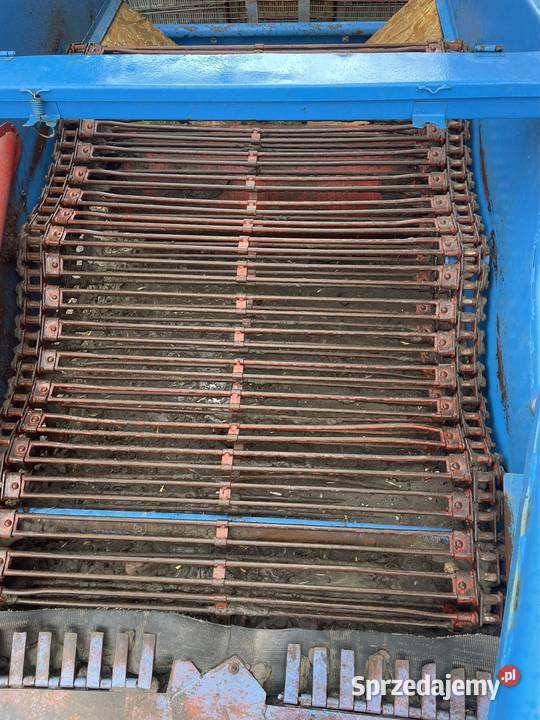 Kopaczka do cebuli buraczka 135 nowy łańcuch Łęczyca