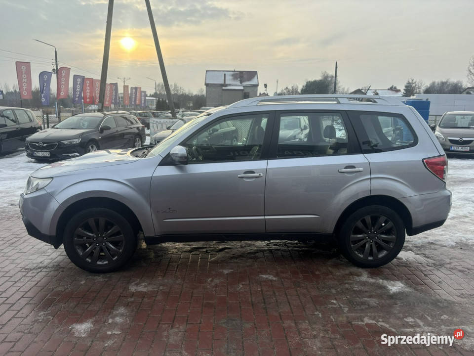 Subaru Forester Gwarancja Serwis Skóra Szyber Forester Sade Budy