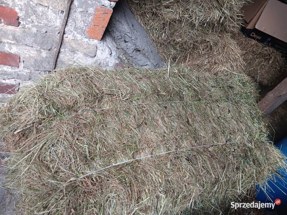 Siano w kostkach snopki Mierzęcice