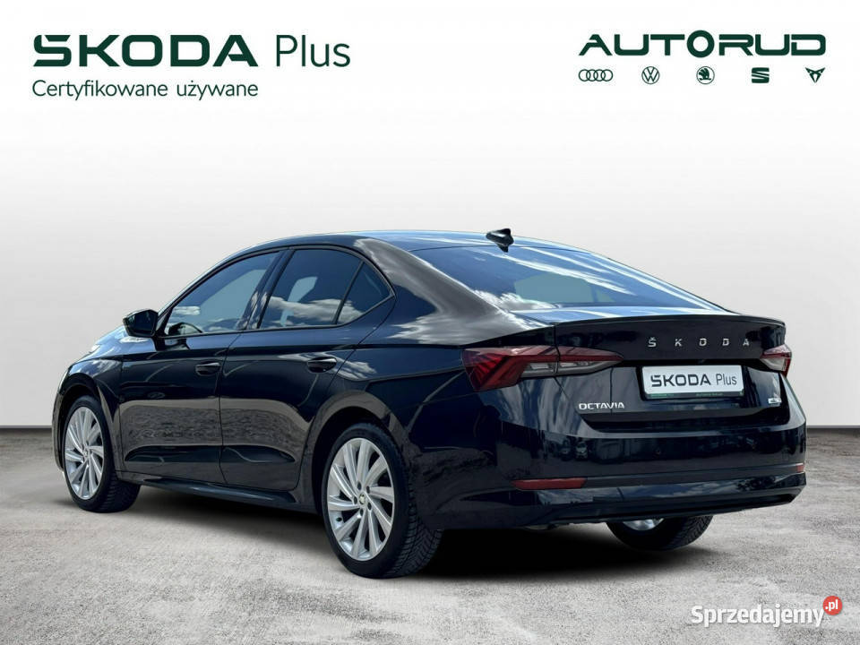 koda Octavia 15eTSI 150 DSG Style Dynamic 2023 Kielce