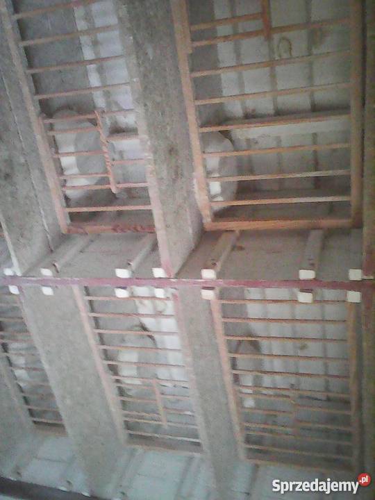Sprzedam gołębnik drewniany 5 cel Białogard