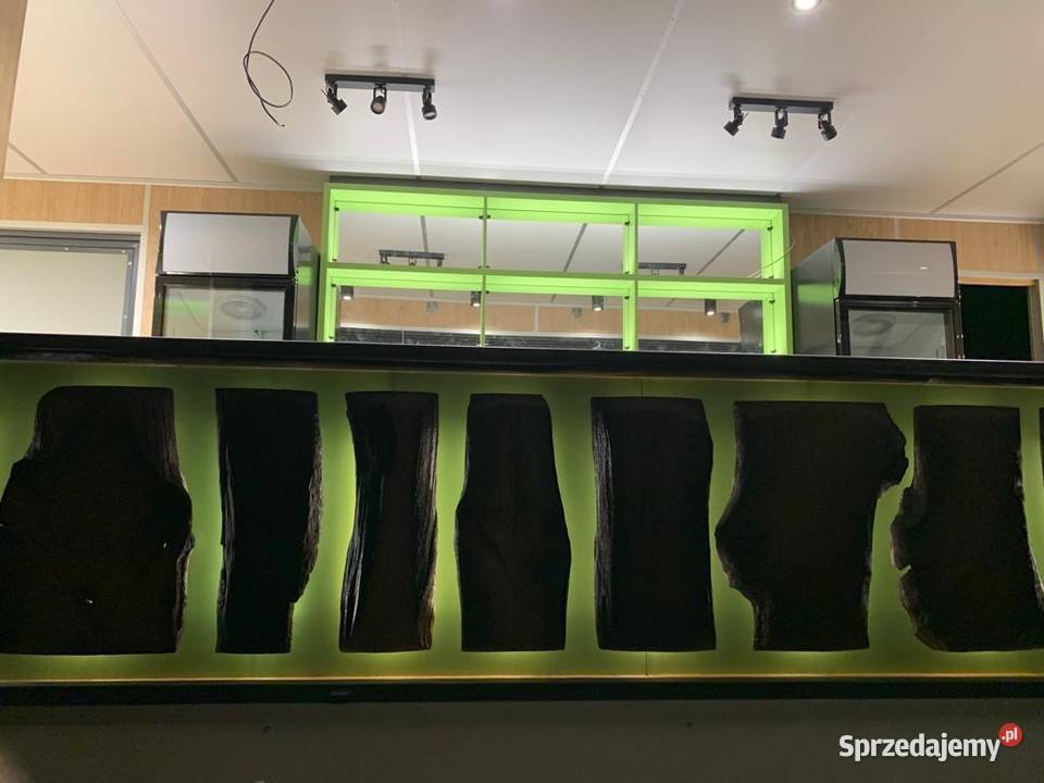 Przyczepa gastronomiczna food truck mazowieckie