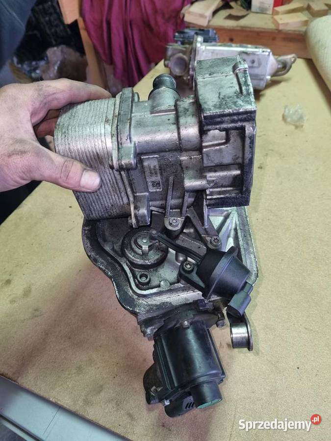 Chłodnicza oleju z egr Kraków