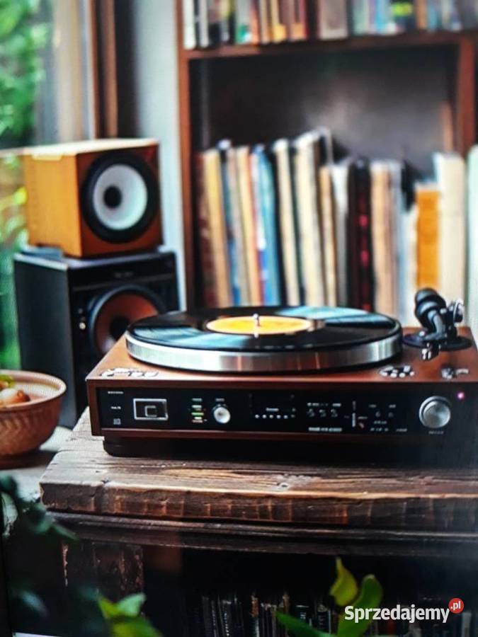 Archiwum psych hard rocka HOMER Grown in USA płyta winylowa Rzeszów