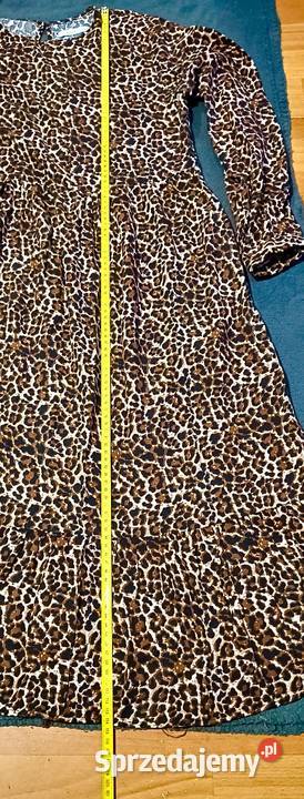 Sukienka w panterkę Toruń