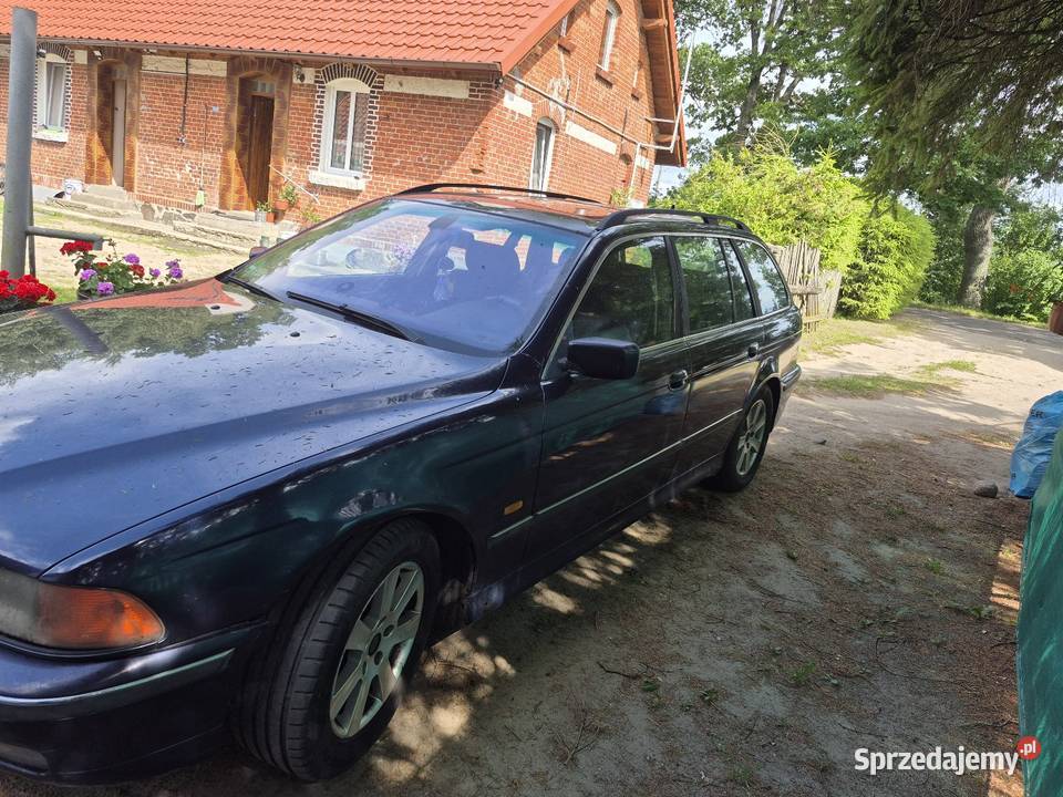 BMW E39 nieuszkodzony warmińsko-mazurskie Giżycko