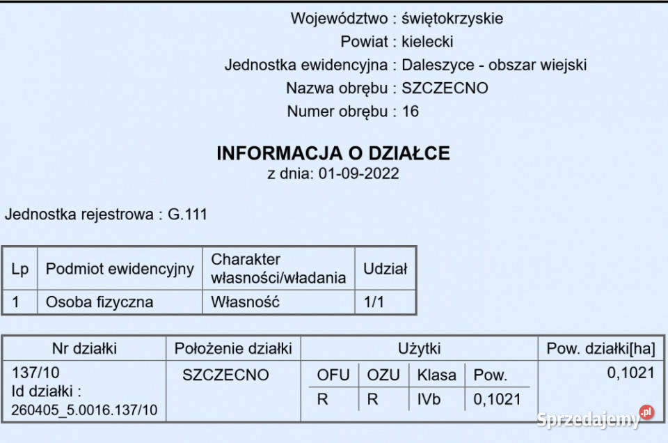 25 Kielc uzbrojona w otoczeniu lasów Sprzedaż Szczecno
