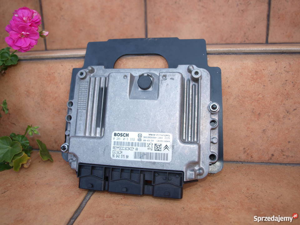 Peugeot Citroen HDi komputer BOSCH 0281013332 sprzedam