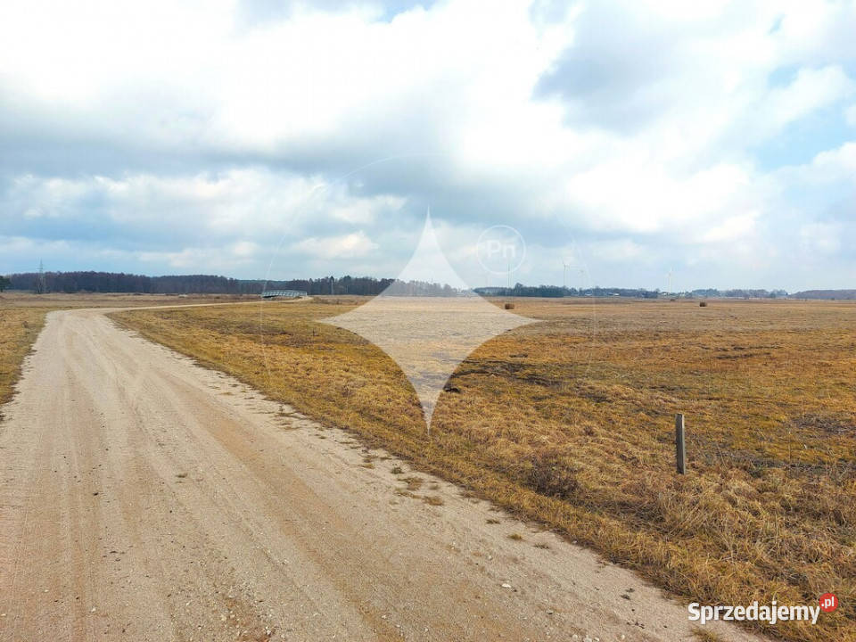 Łąka Horbów Kolonia gm Zalesie pow bialski