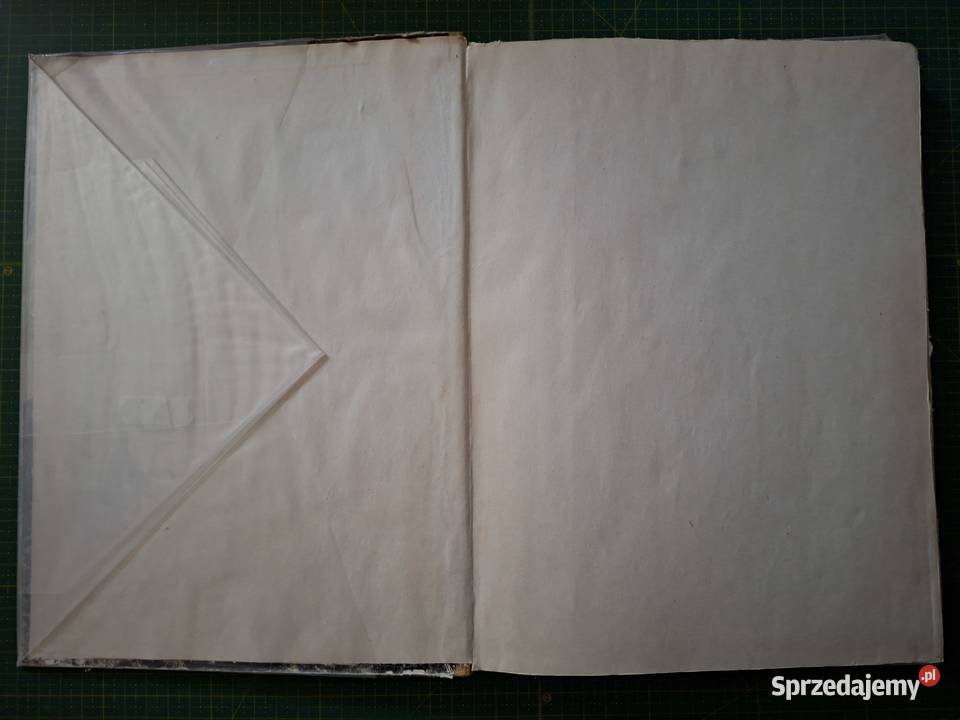 W dolinie Sanu St Pagaczewski Aleksander Haupt przewodnik Kraków sprzedam