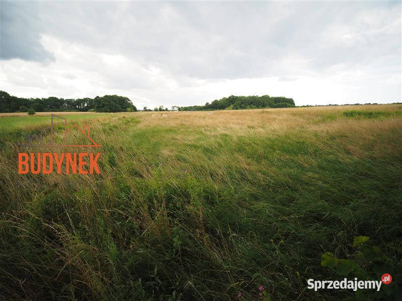 Działka rolna Rusinowo