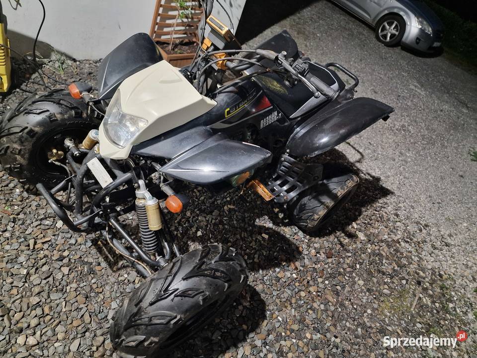 Quad ATV Bashan 200 Gotowy do jazdy śląskie