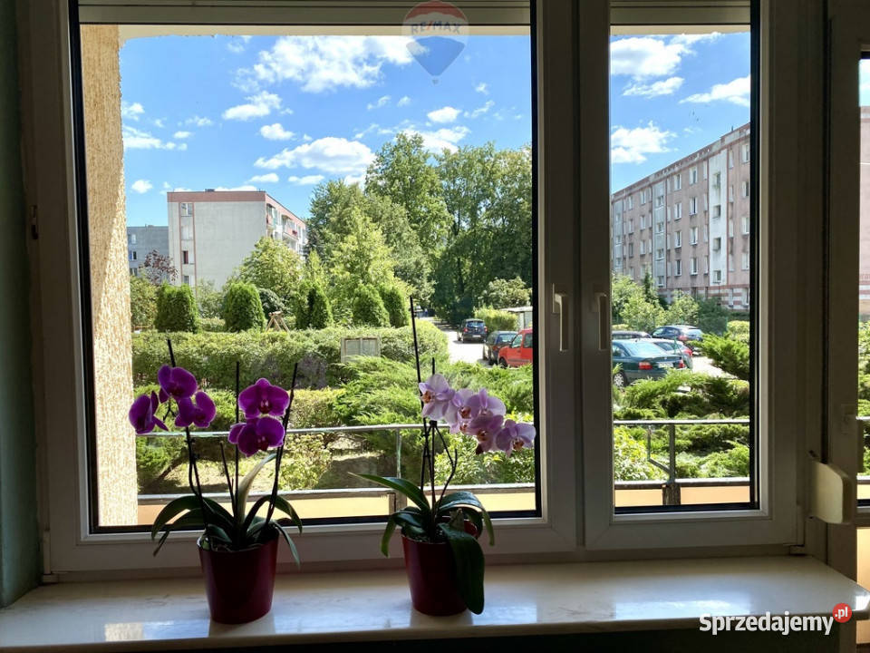 2 niezależne pokoje balkon dużo zieleni Liczba pokoi 2 mazowieckie Warszawa