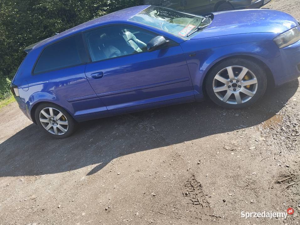 Audi a3 8p 19 TDI 6 biegowa 2005 A3 Wałbrzych