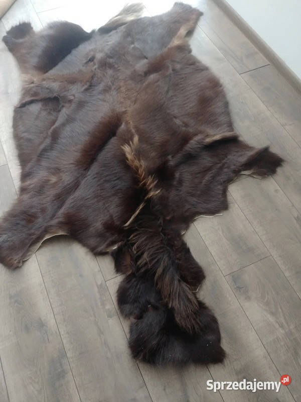 Skóra z antylopy Gnu sprzedam