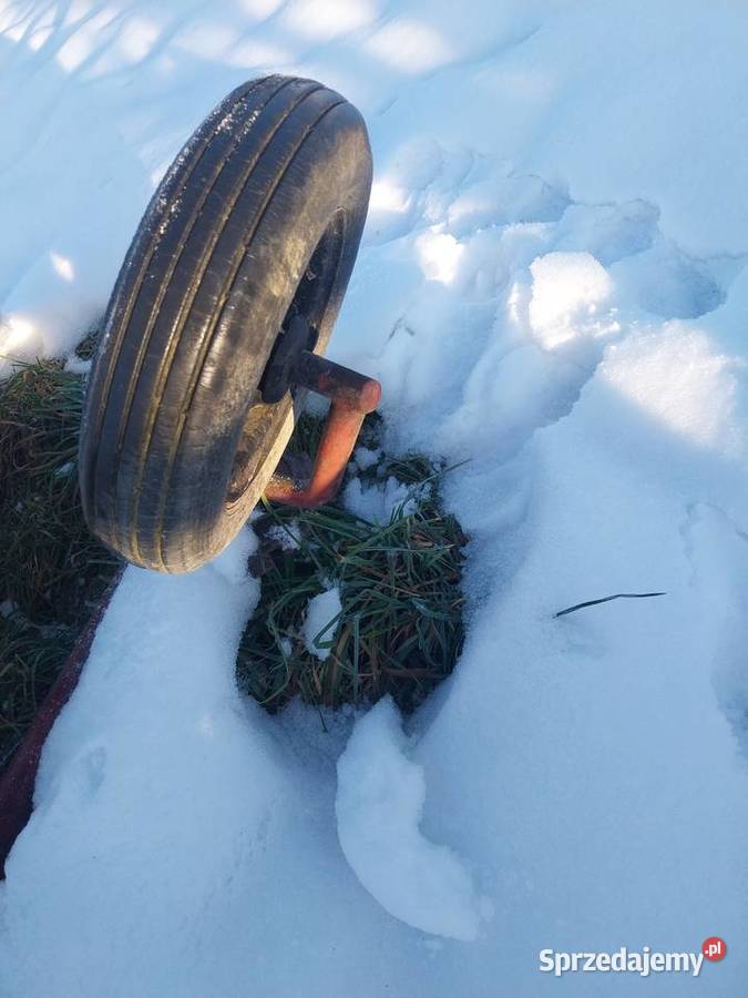 Koła kółka na łożyskach Pozostałe Nowy Sącz