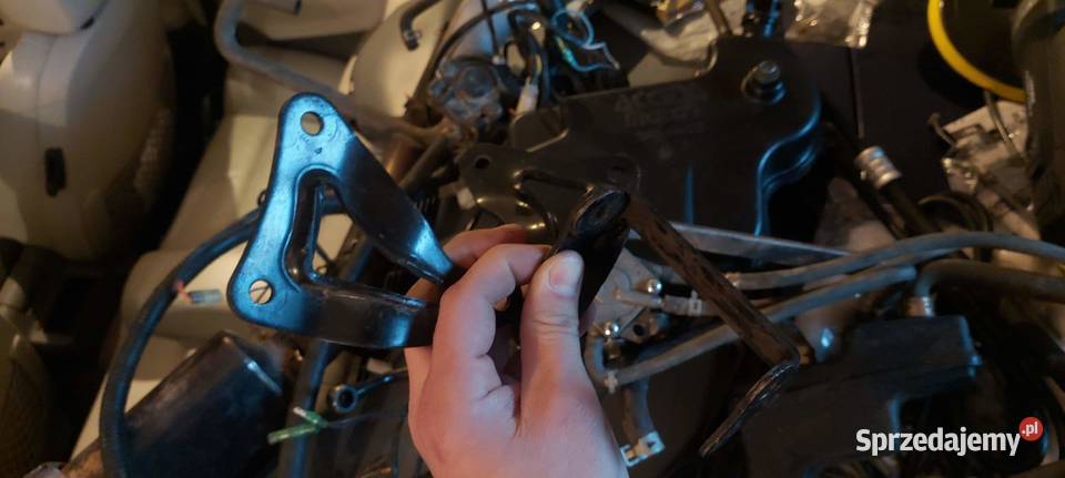 Silnik Access Lucky Star 450