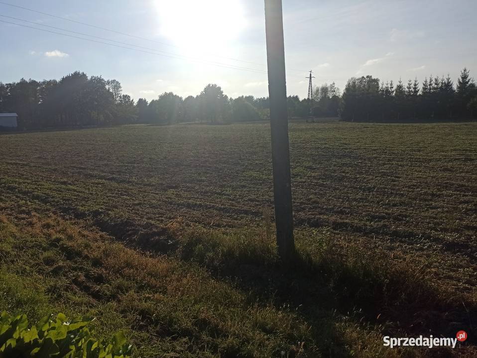 Sprzedam działki budowlane każda 1500m2 we wsi mazowieckie Grochowa sprzedam
