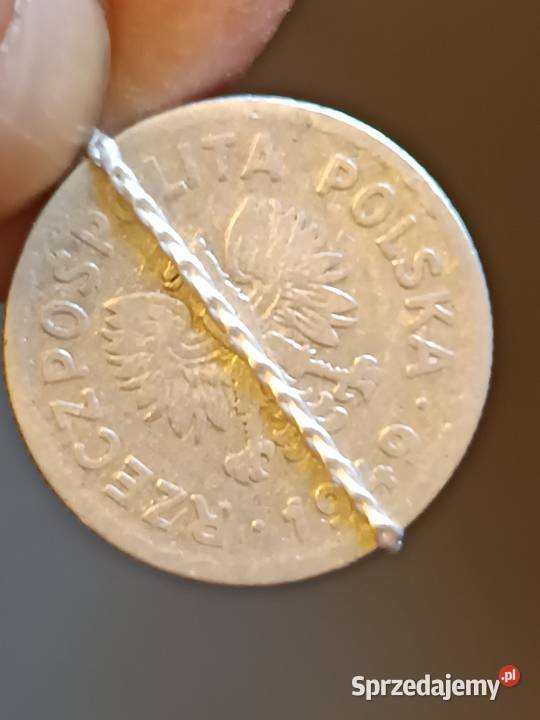 Sprzedam monetę 1 zloty 1949 Numizmatyka Chełm