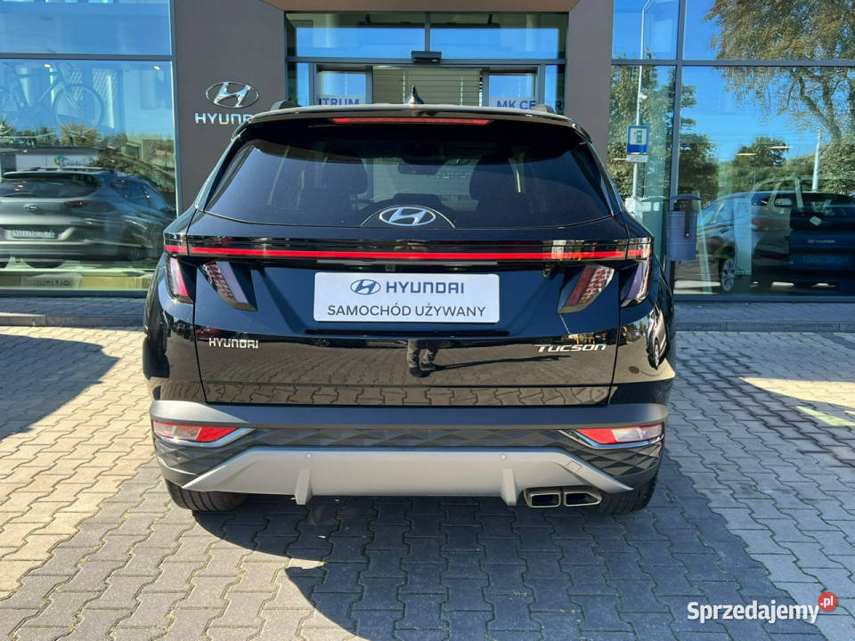 Hyundai Tucson 16TGDI 2WD 48V 150 7DCT Executive Piotrków Trybunalski