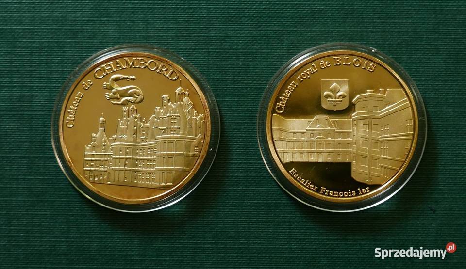 Francja Zamki Loarą Chambord Blois Gliwice