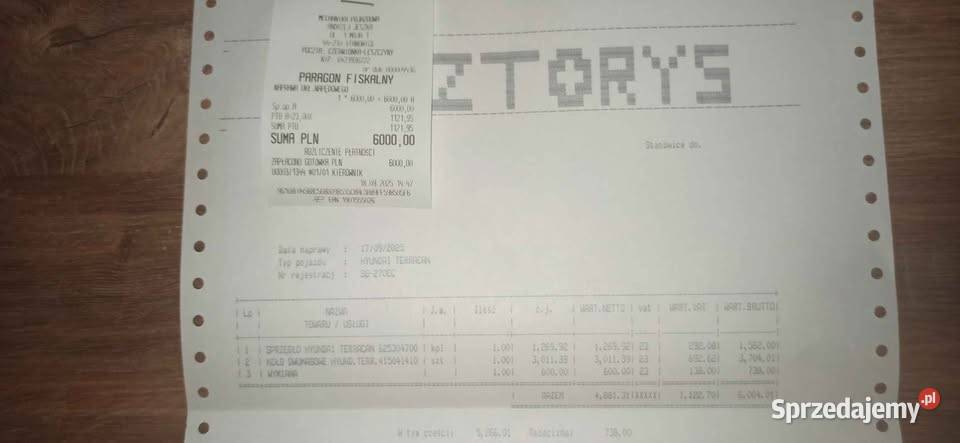 4x4 Terracan 29crdi Czerwionka-Leszczyny