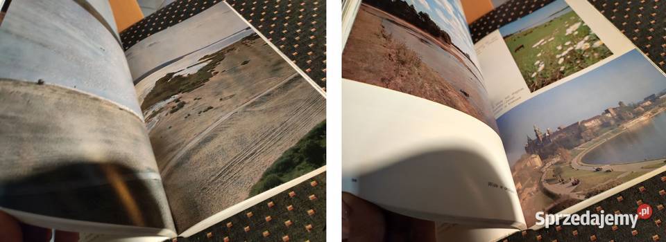 almanach polonii 1979 Kielce