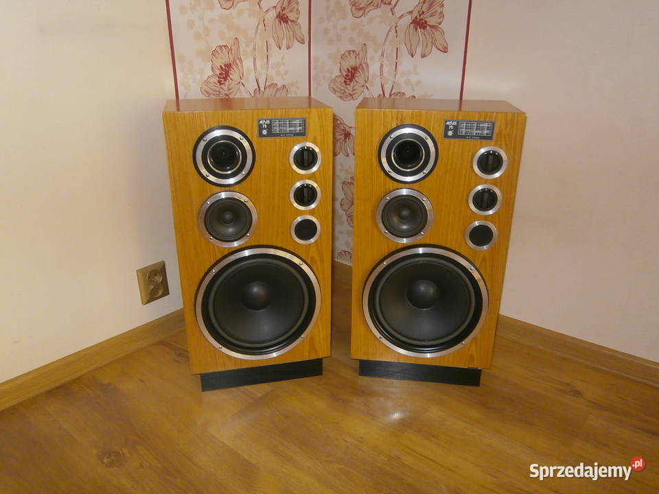 TONSIL ALTUS 75 8 OHM modernizacji i regeneracji łódzkie Łódź