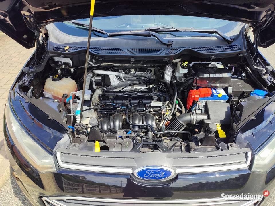 Ford Ecosport 15 Benzyna 112 Zwykły silnik 4/5 Turek