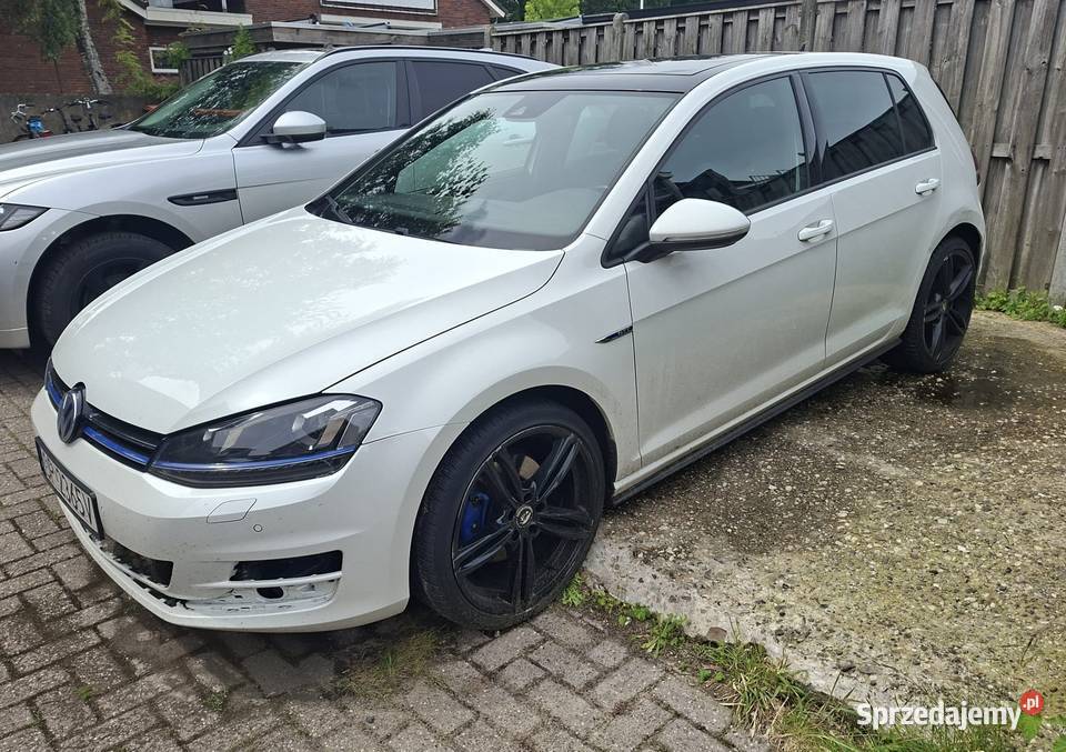 VW GOLF VII GTE Hybryda plugin 204 opolskie Krzyżowa Dolina sprzedam