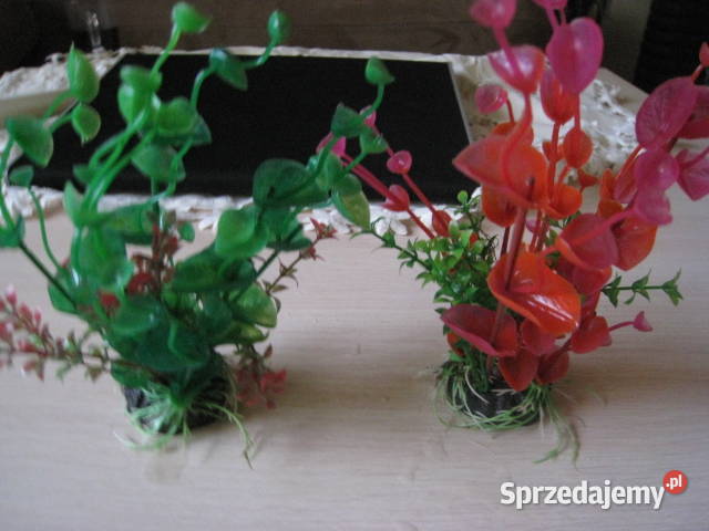 Roślinki akwariowe sztuczne Częstochowa