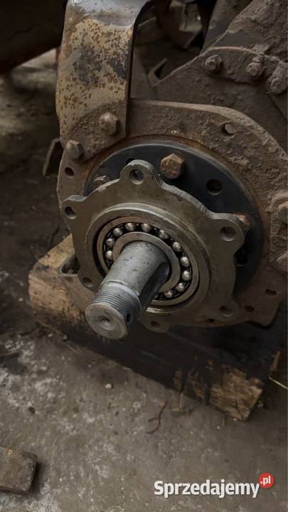 Glebogryzarka Dondi Krzeszyce