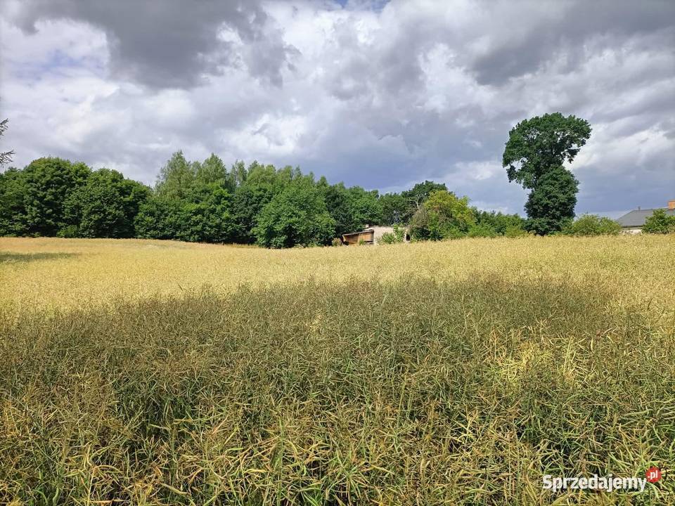 Działka budowlana Cieszeniewo sprzedam