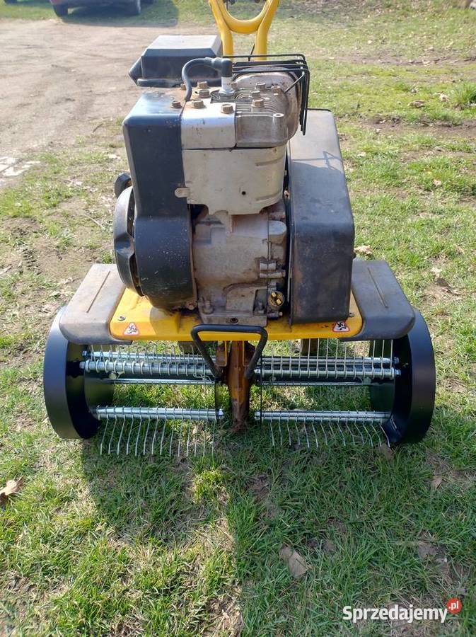 Aeracja wertykulacja trawnika dolnośląskie Strzegom