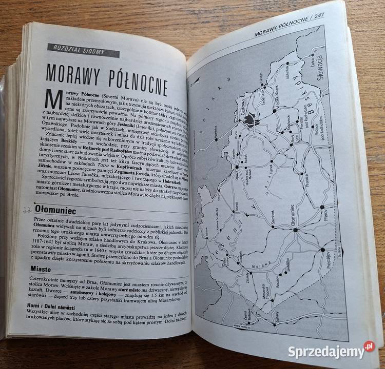 Czechy i Słowacja praktyczny przewodnik Pascal miękka Kraków