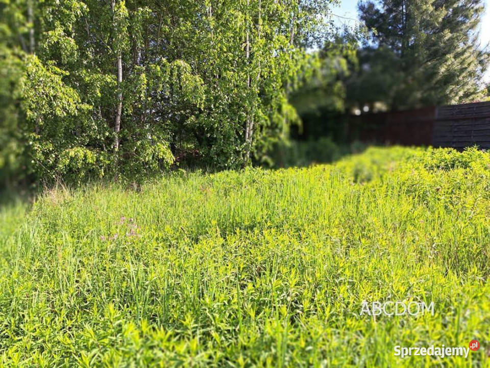 Przebieczanywidokowa działka budowlanamedia Przebieczany