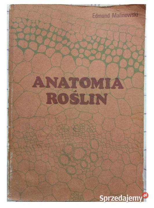 Anatomia roślin Malinowski kujawsko-pomorskie Osięciny