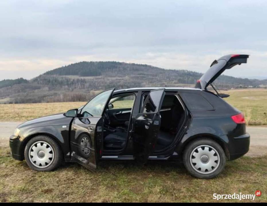 Audi A3 8P 19 TDI 105 370000km Żywiec
