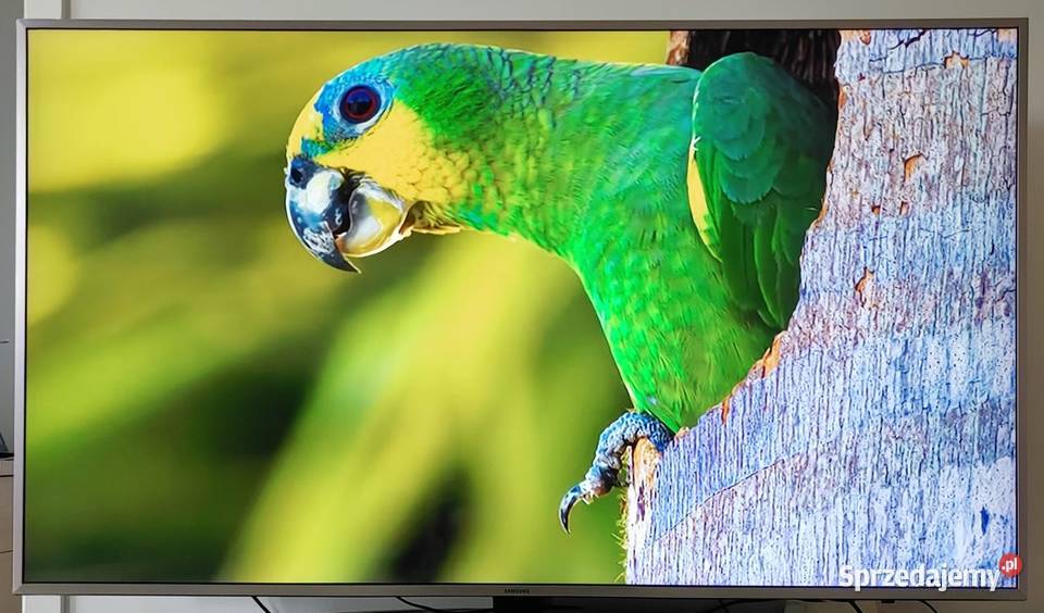 Samsung Smart TV 55 Wągrowiec sprzedam