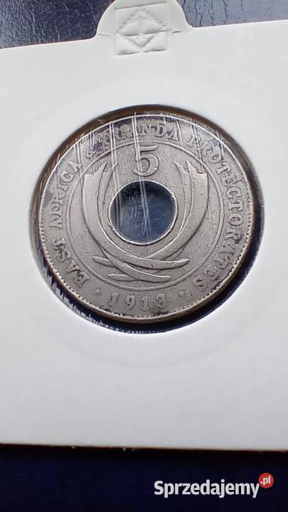 Stare monety 5 cent 1913 Brytyjska Afryka Lesko
