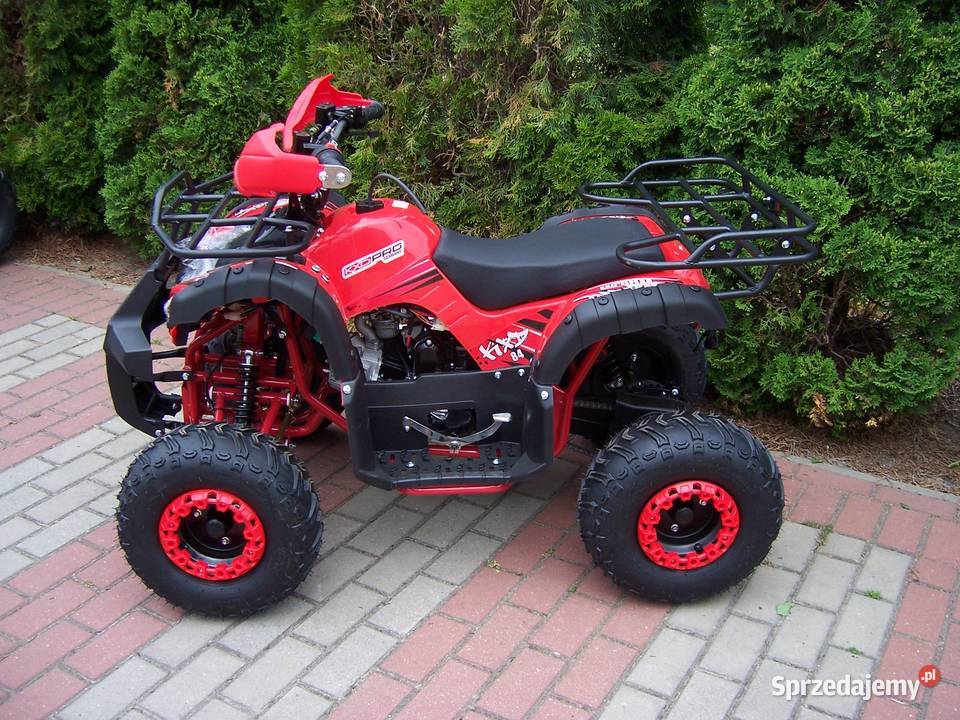 Quad KXD HAMMER 110 cc 125 cc automat 11 nowy Goleniów sprzedam