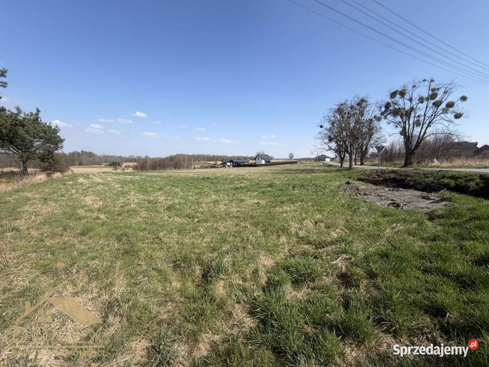Działka 4869m2 Łańce sprzedam