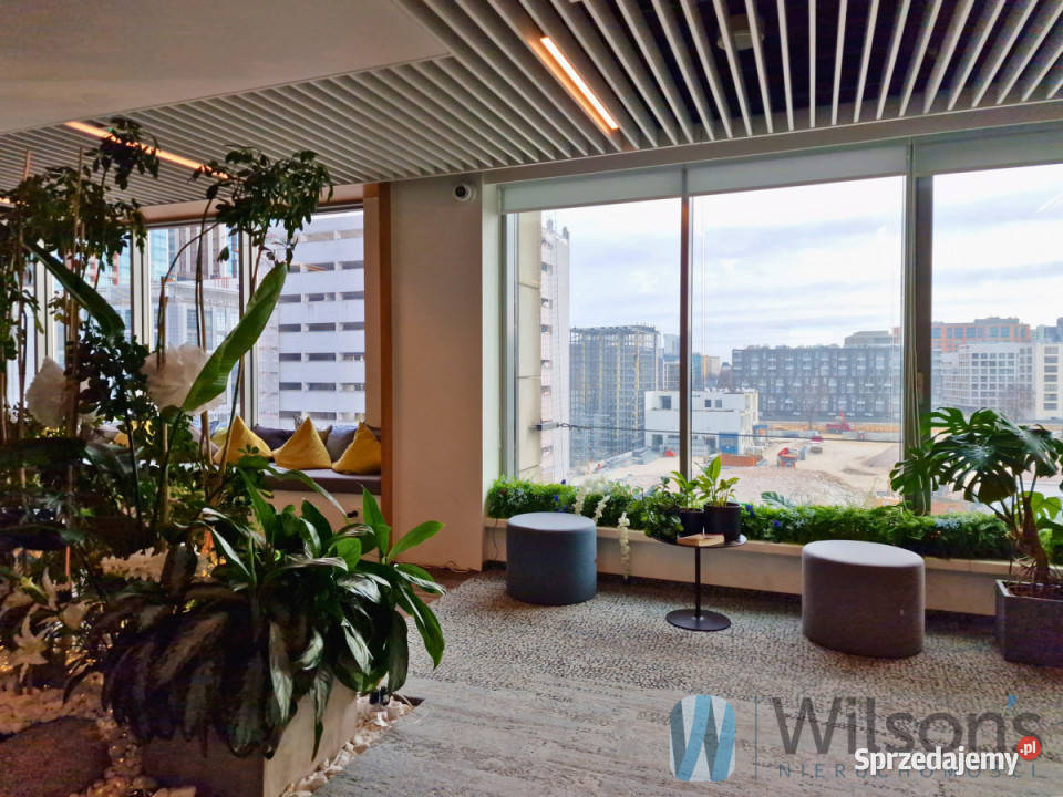 wynajmu lokalu Warszawa Prosta 60m2