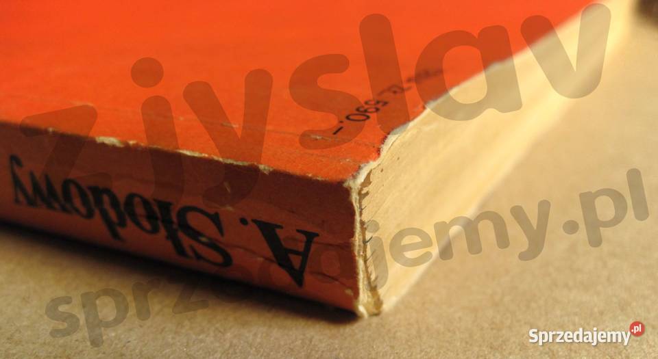 Adam Słodowy Majsterkowanie każdego ISBN 8320408539
