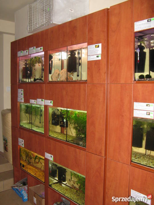 Sprzedam sklep zoologiczny Kraków Kraków