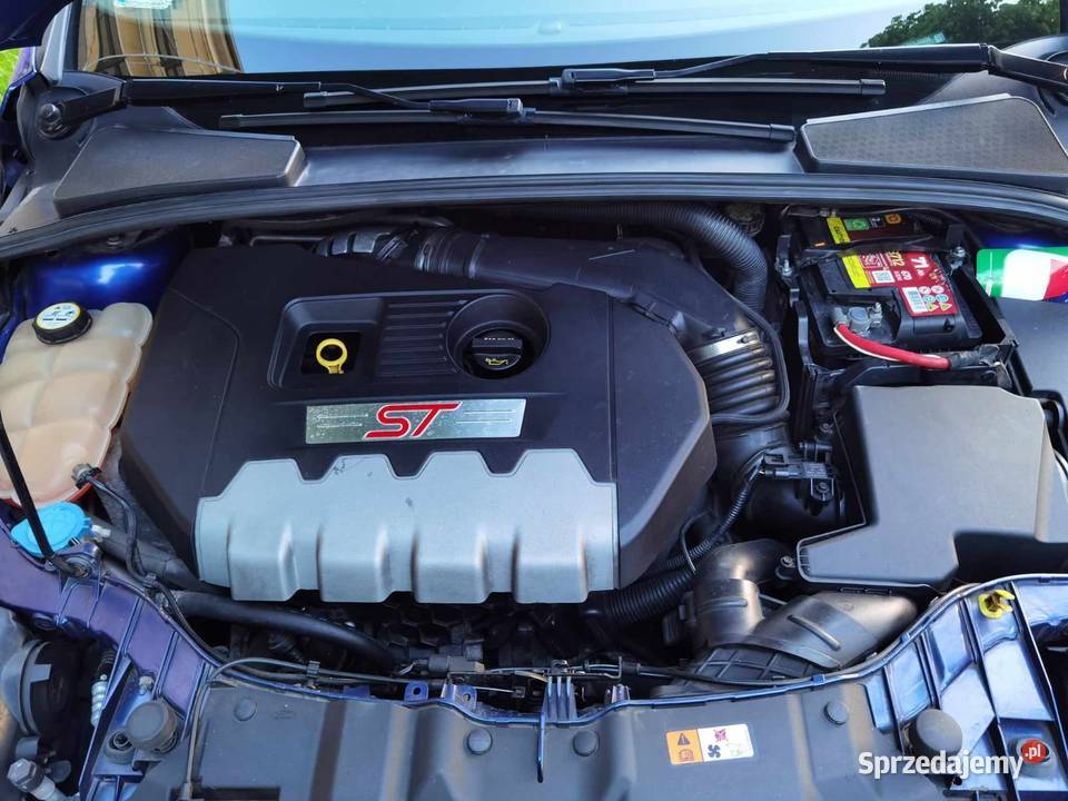 Ford Focus 20 ST dolnośląskie Strzegom