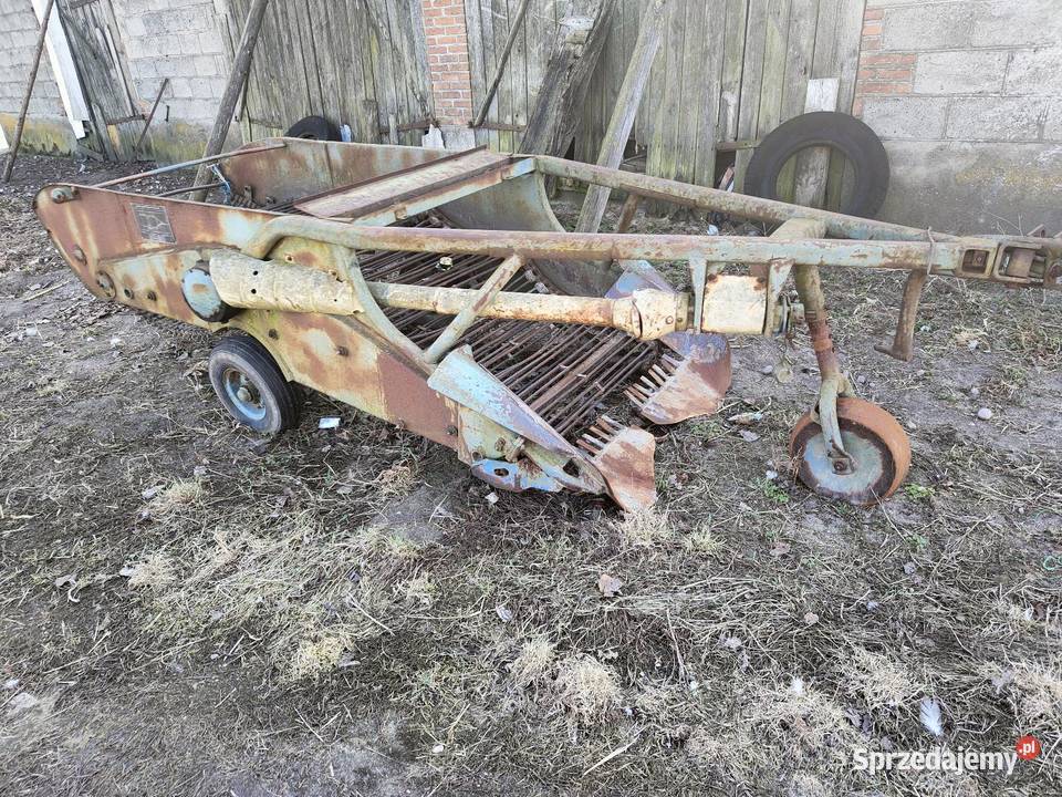 Kopaczka do ziemniaków elewatorowa agromet Przedecz